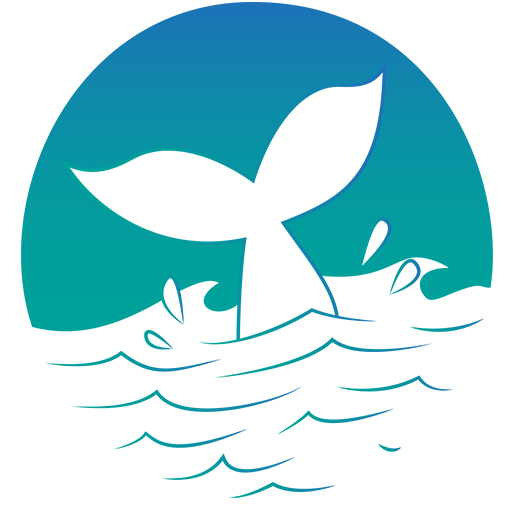 Associação Comunitária do Morro das Pedras